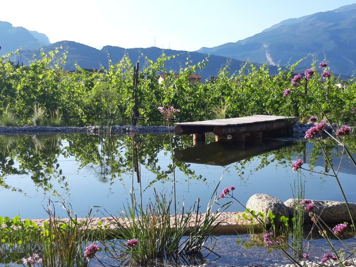 Agritur Fiore D'Ulivo Riva del Garda Exterior photo